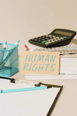 Text sign showing Human Rights, Business idea Moral Principles Standards Norms of a showing protected by Law Important Idea Shown On Phone On Desk With Cup With Pencils And Books.