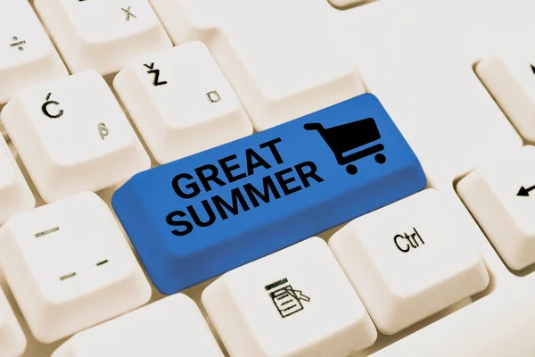 Text Sign Showing Great Summer Business Overview Having Fun Good — Stockfoto