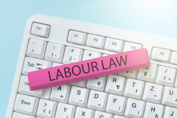 Text caption presenting Labour Law, Business overview Rules implemented by the state between employers and employee -48636