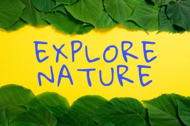 Conceptual caption Explore Nature, Concept meaning Reserve Campsite Conservation Expedition Safari park Important Informations Written On Paper Under Lot Of Leaves.