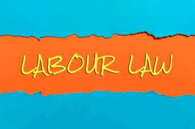 Text caption presenting Labour Law, Internet Concept Rules implemented by the state between employers and employee Important Information Written Underneath Ripped Piece Of Paper.