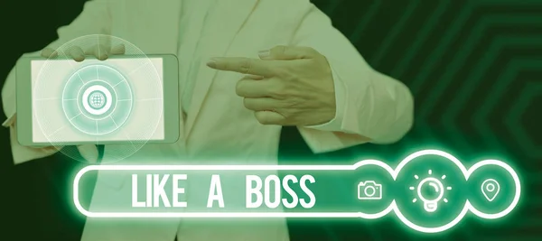 Text Sign Showing Boss Business Overview Acting You One Giving — Photo