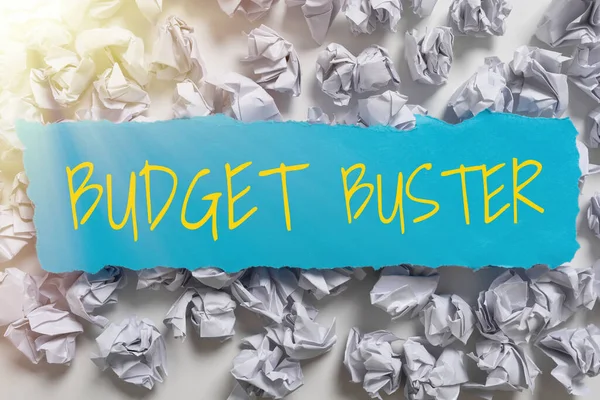 Conceptual Caption Budget Buster Concept Meaning Carefree Spending Bargains Unnecessary — Fotografia de Stock
