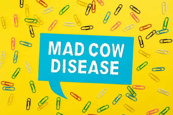 Hand Writing Sign Mad Cow Disease Concept Meaning Neurodegenerative Lethal — Stock Fotó