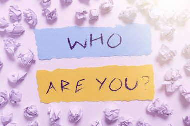 Hand writing sign Who Are You, Business idea Introduce Identify yourself personality likes dislikes Crumpled Notes Placed All Over Two Important Informations On Paper.