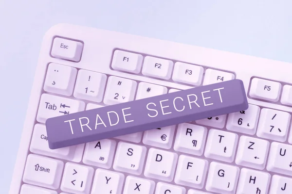 Text Sign Showing Trade Secret Business Overview Confidential Information Product — Stock Photo, Image