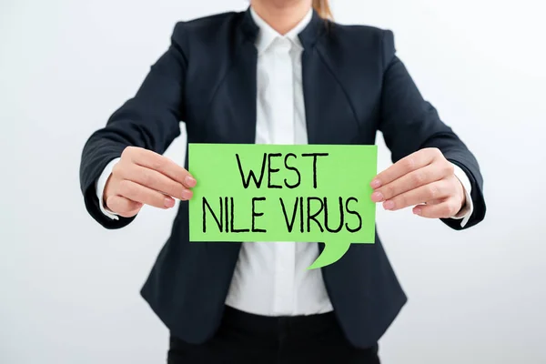 Fogalmi Felirat Nyugat Nílus Vírus Üzleti Megközelítés Vírusfertőzés Oka Tipikusan — Stock Fotó
