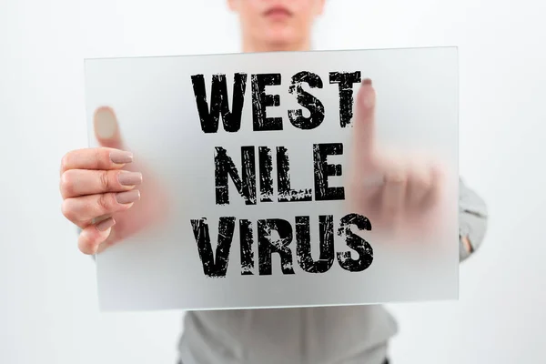 Sign displaying West Nile Virus, Business showcase Viral infection cause typically spread by mosquitoes Man Holding Tablet And Pen Pointing On Search Bar And Presenting New Ideas.