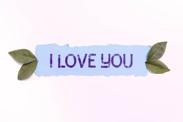 Sign Displaying Love You Concept Που Σημαίνει Έκφραση Ρομαντικών Συναισθημάτων — Φωτογραφία Αρχείου