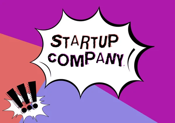 Texto Mostrando Inspiração Startup Company Word Newly Emergiu Negócio Criado — Fotografia de Stock