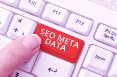 İlham kaynağı Seo Meta Data, İnternet Konsepti Arama Motorunu İyimserleştirme Çevrimiçi Pazarlama Stratejisini gösteren metin