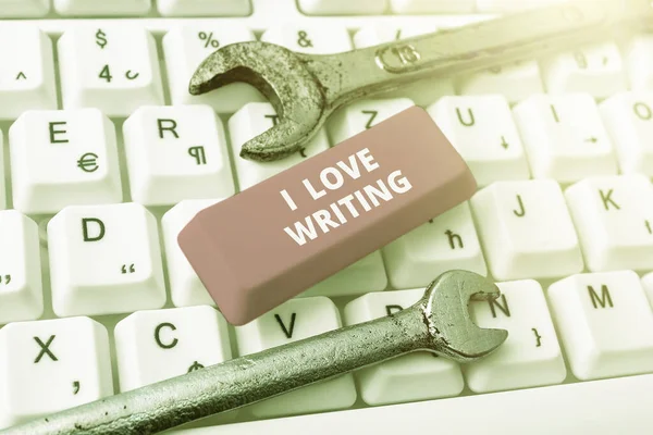 Znak Tekstowy Pokazujący Love Writing Internet Concept Affection Creating Novels — Zdjęcie stockowe