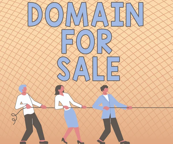 Sign Displaying Domain Sale Üzleti Áttekintés Megvásárolni Kívánt Weboldal Nem — Stock Fotó