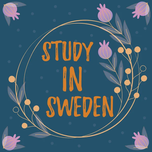 Tekstbord Met Studie Zweden Business Concept Reis Naar Europees Land — Stockfoto