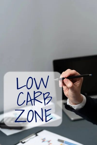 Psaní Zobrazující Text Low Carb Zone Word Healthy Diet Losing — Stock fotografie
