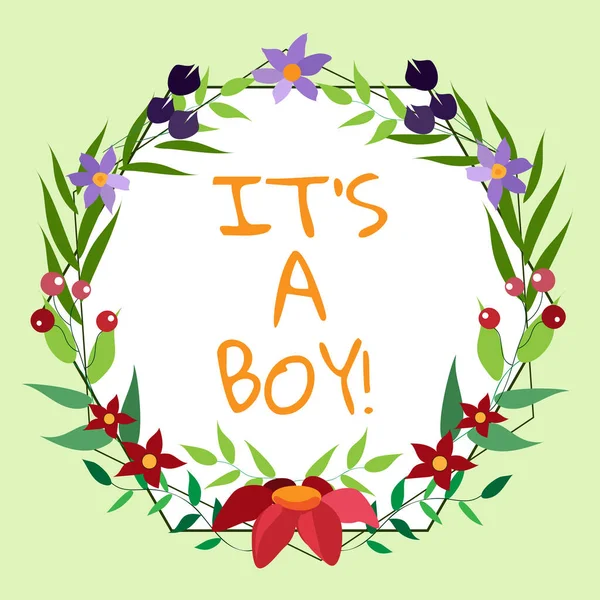 Концептуальний Підпис Boy Бізнес Концепція Очікування Чоловічого Немовляти Милий Синій — стокове фото