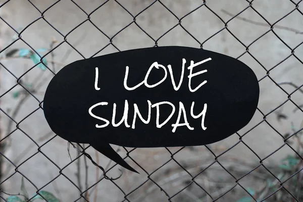 Szöveg Felirat Bemutató Love Sunday Üzleti Ötlet Szeretni Hétvégén Boldog — Stock Fotó