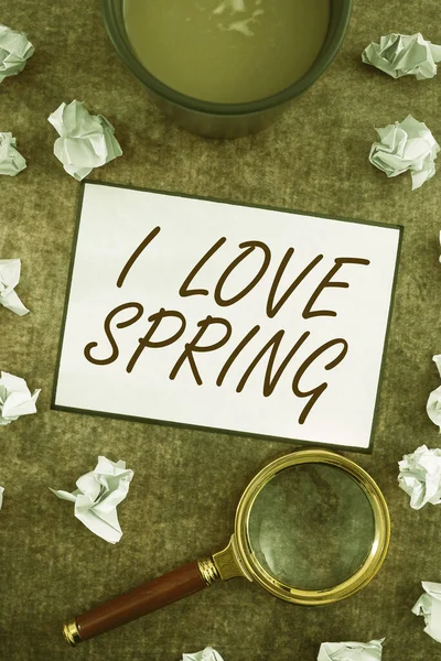 Didascalia Testo Che Presenta Love Spring Business Concept Affetto Stagione — Foto Stock
