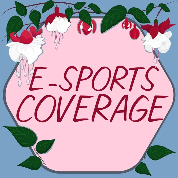 Sports Coveragereporting 스포츠 비즈니스 스포츠 — 스톡 사진