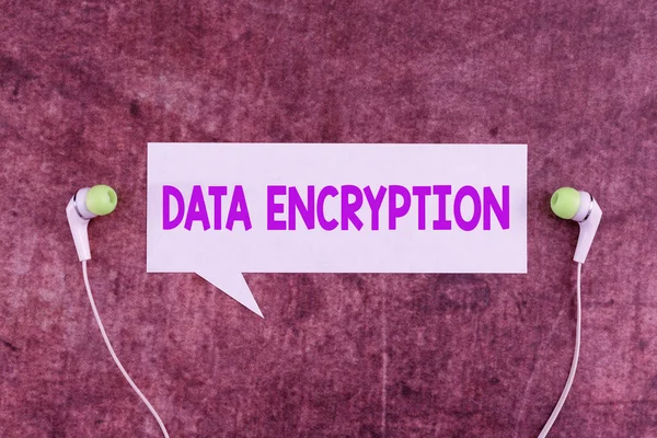 암호화 데이터를 데이터 암호화 미터법 Data Encryptionsymmetric Key Algorithm 표시하는 — 스톡 사진