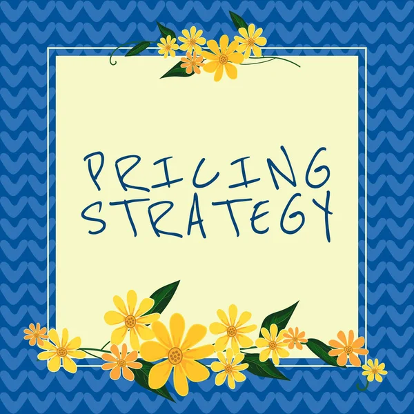 텍스트 Pricing Strategyset 극대화 비즈니스 시장에 이익을 극대화 — 스톡 사진
