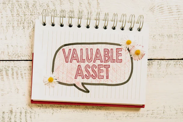 Conceptual Caption Valuable Assetyour Most Valuable Asset Your Ability Capacity — Stock Photo, Image