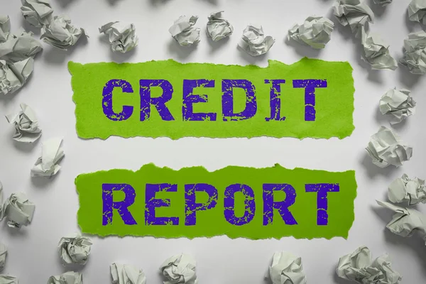 2014 Writing Text Credit Report Word Written Borrowing Rap Sheet — 스톡 사진