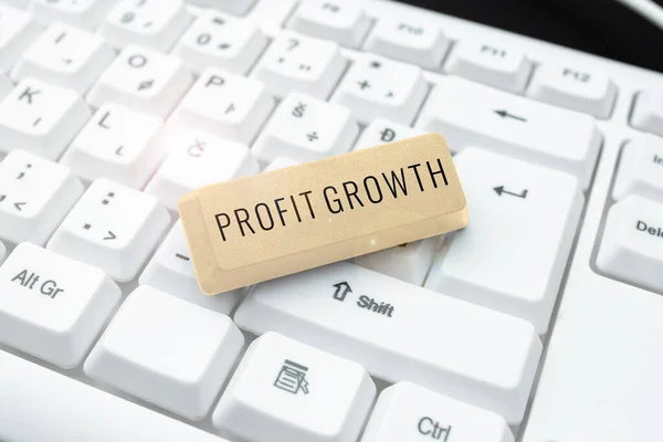 Text Caption Presenting Profit Growth Business Overview Objectives Interrelation Overall — Stock Photo, Image