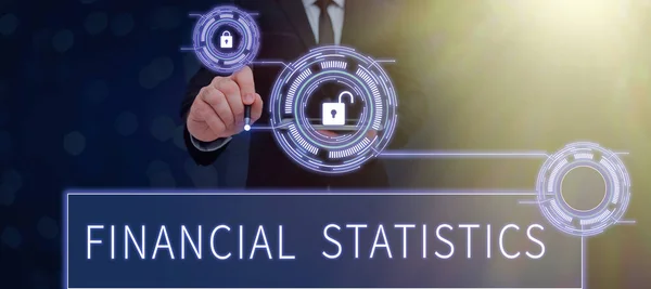 Sign Displaying Financial Statistics Word Comprehensive Set Stock Flow Data — Stock Photo, Image