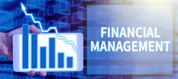 Text Caption Presenting Financial Management Internet Concept Efficient Effective Way — Stock Photo, Image