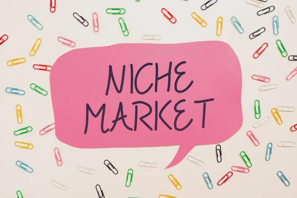 Textzeichen Das Nischenmarkt Internet Konzept Teilmenge Des Marktes Zeigt Auf — Stockfoto
