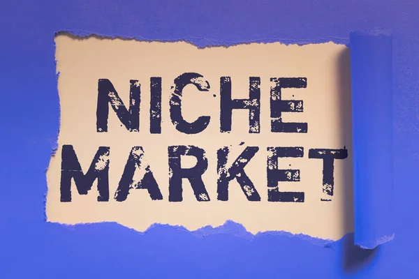 Text sign showing Niche Market, Conceptual photo Subset of the market on which specific product is focused