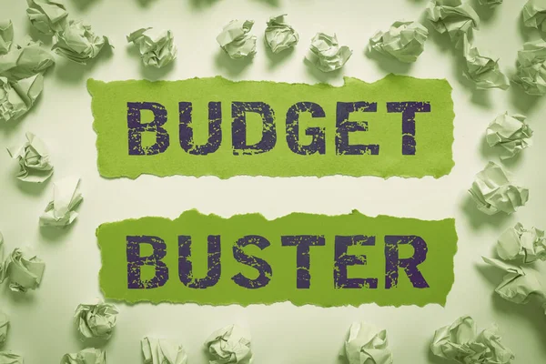 Señal Escritura Mano Buster Presupuesto Idea Negocio Gastos Sin Preocupaciones —  Fotos de Stock