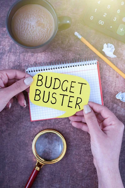 サイン予算のバスター コンセプトを示すインスピレーションケアフリー支出の利益不必要な購入過剰支出 — ストック写真