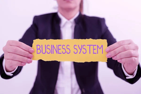 Написание Отображения Текста Метод Business Systema Анализа Информации Организаций Бизнес — стоковое фото