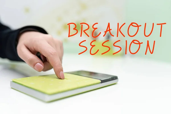 Exposición Conceptual Breakout Sessionworkshop Discusión Presentación Sobre Tema Específico Discusión — Foto de Stock