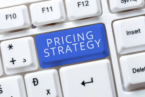 텍스트를 Pricing Strategyset 극대화 전반에 개념은 시장에 설정을 — 스톡 사진