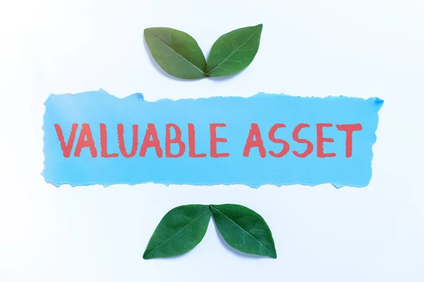 Hand Writing Sign Valuable Assetyour Most Valuable Asset Your Ability — Stock Photo, Image
