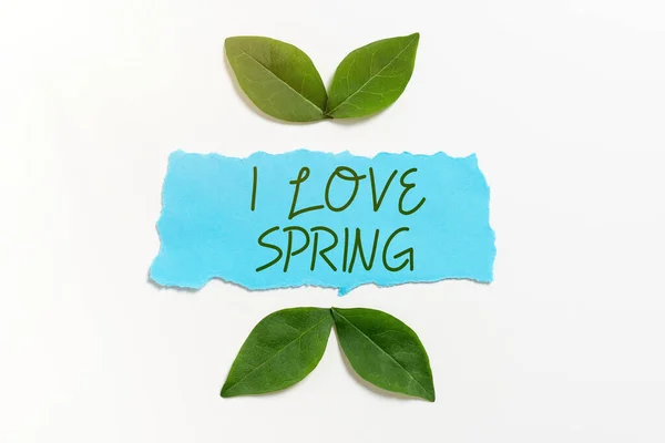 Ручной Знак Письма Люблю Весну Деловой Подход Любовь Сезону Много — стоковое фото