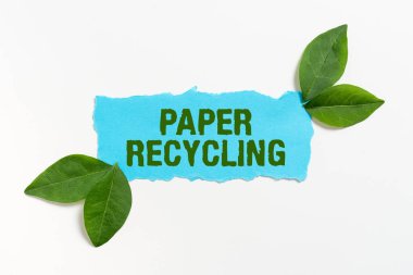 Kağıt Geri Dönüşüm Kağıdı İşletme Fikri, atık kağıtları geri dönüşüm yoluyla kullanarak yeni bir şekilde kullanılıyor.