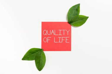 El yazısı kalite kontrol, ürün veya hizmetin standartlara göre satıldığından emin olun, iş yaklaşımı sağlıklı ve düzgün bir iş. Her anın tadını çıkarın.