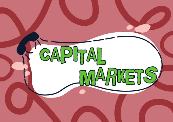 Inspiration showing sign Capital MarketsAllow businesses to raise funds by providing market security, Word Written on Allow businesses to raise funds by providing market security