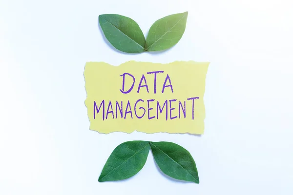 Veri Yönetimini Gösteren Metin Işareti Veri Süreçlerinin Düzenlenmesi Sürdürülmesi Uygulaması — Stok fotoğraf