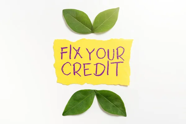 Text Ukazující Inspiraci Opravte Svůj Kredit Udržujte Nízké Zůstatky Kreditních — Stock fotografie