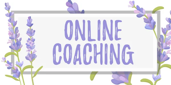 Conceptuele Weergave Online Coachingleren Van Online Internet Met Behulp Van — Stockfoto