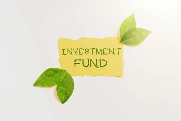 Handschriftlicher Text Investmentfonds Kapitalversorgung Zahlreicher Investoren Internet Konzept Kapitalversorgung Zahlreicher — Stockfoto