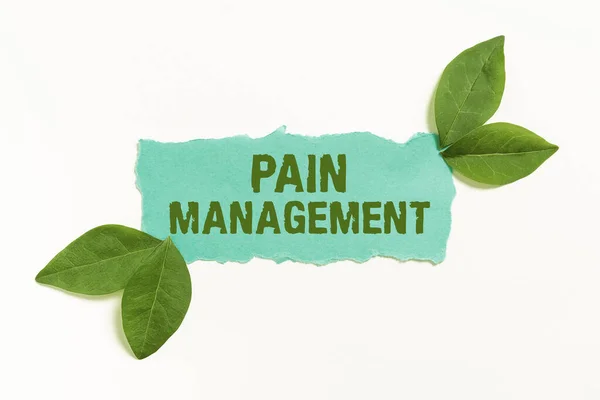 Szöveg Felirat Bemutatása Pain Managementa Ága Orvostudomány Alkalmazó Interdiszciplináris Megközelítés — Stock Fotó