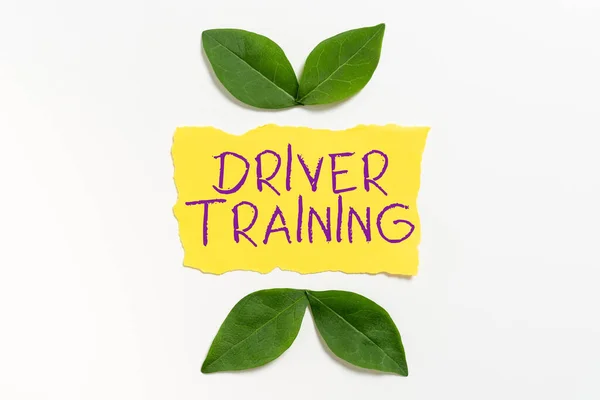 Scrittura Mano Testo Driver Trainingprepara Nuovo Driver Ottenere Una Patente — Foto Stock