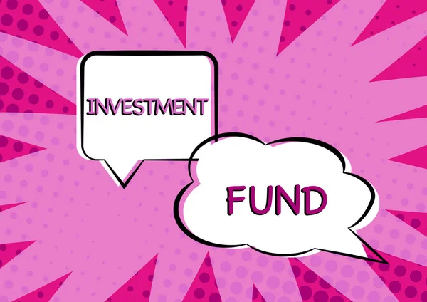 Investitionsfonds Eine Kapitalversorgung Die Zahlreichen Anlegern Gehört Eine Kapitalversorgung Die — Stockfoto