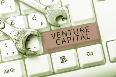 Firmalar tarafından küçük ölçekli şirketlere sağlanan ilham kaynağı olan Venture Capitalfinanse 'yi gösteren metin, firmalar tarafından sağlanan finansman sözcüğü